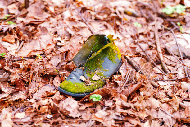 An old shoe overgrown with green moss on red leaves