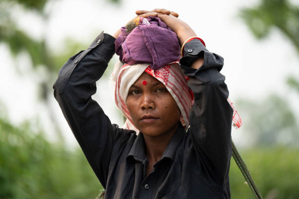 Bokakhat, India. 20 April 2024. A woman tea plucker returns after plucking tea leaves at a tea estate, in Bokakhat, Assam, India.  The tea industry in Assam is a significant and integral part of the global tea production and a major player in the economy of India. Assam, located in the northeastern part of India, is one of the world's largest tea-producing regions, known especially for its Assam tea, a black tea known for its body, briskness, malty flavor, and strong, bright color.