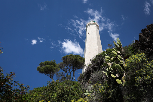 The Lighthouse on Cape Ferrat (Cap Ferrat), France.
