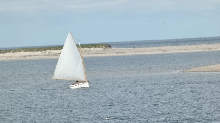 Cat Rigged Sloop Sails Cape Cod