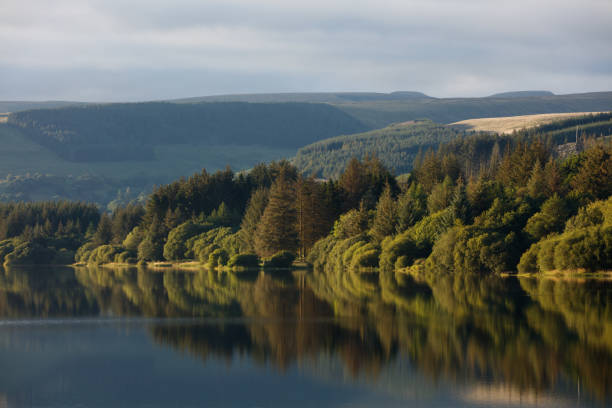 Llwyn Onn reservoir, South Wales, UK. 9 August 2023.  UK weather: Evening light at the reservoir today.