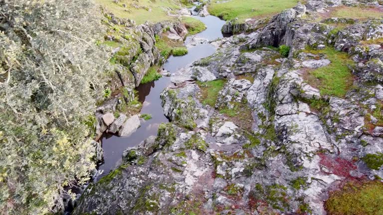 Small stream in Extremadura pasture