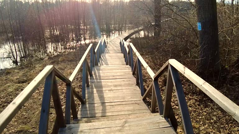 Old wooden footbridge over moorland