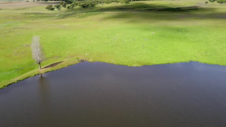 Small lagoon in the Extremadura pasture