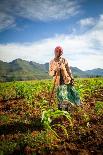 istock Female farmer in Africa 2149567477