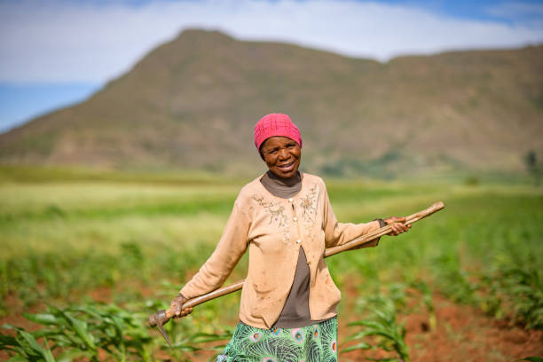 istock Senior Lesotho woman 2149567682