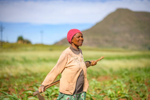 istock Senior Lesotho woman side view 2149567743