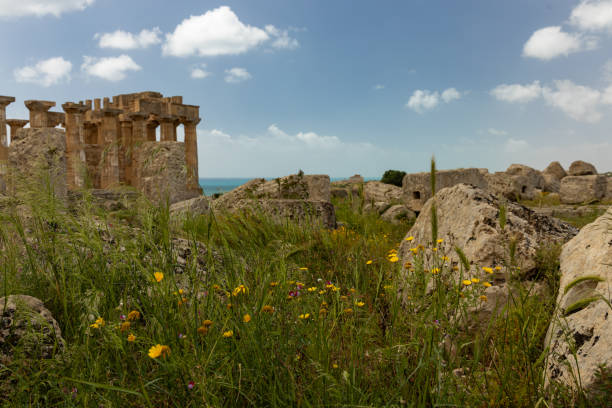 Agrigento, Sicily, Italy- May 24, 2009: Pink oleander blossoms add vibrant color to the foreground of the ancient Temple of Heracles in the Valley of the Temples. Copy space