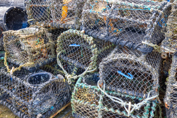 istock Lobster Pots, Moelfre Beach, Moelfre, Anglesey, North Wales 2149573140