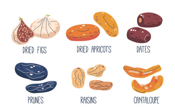 Dried Fruits Set. Cantaloupe, Figs, Prunes And Apricot, Raisins And Dates. Dried Fruits, Sweet Natural Dehydrated Snacks Dried Fruits Set. Cantaloupe, Figs, Prunes And Apricot, Raisins And Dates. Dried Fruits, Sweet Natural Dehydrated Snacks Or Desserts with Concentrated And Chewy Texture. Cartoon Vector Illustration grape pruning stock illustrations