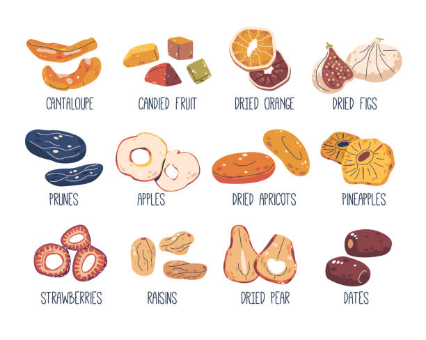 Dried Fruits Set. Cantaloupe, Orange, Figs, Prunes and Apples. Apricot, Pineapple, Strawberries and Raisins Dried Fruits Set. Cantaloupe, Orange, Figs, Prunes and Apples. Apricot, Pineapple, Strawberries and Raisins. Dried Fruits, Pears and Dates Sweet Natural Snacks or Desserts. Cartoon Vector Illustration grape pruning stock illustrations