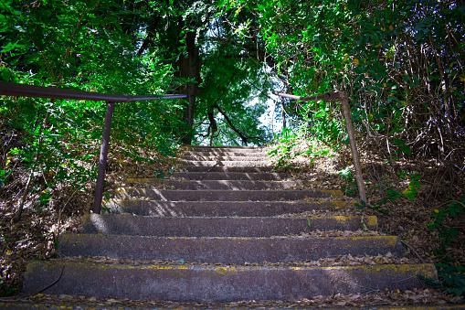 Wide Angle photo, Looking Up from a low angle at Stone Stairs Through Trees on a local Downtown Trail