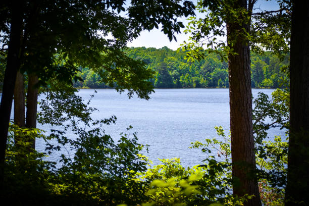 istock Looking Through The Trees at Falls Lake 2149575373