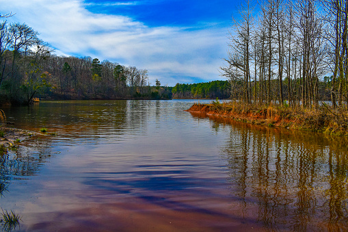 Wide Angle photo of Falls Lake in Forest Ridge Park in the spring