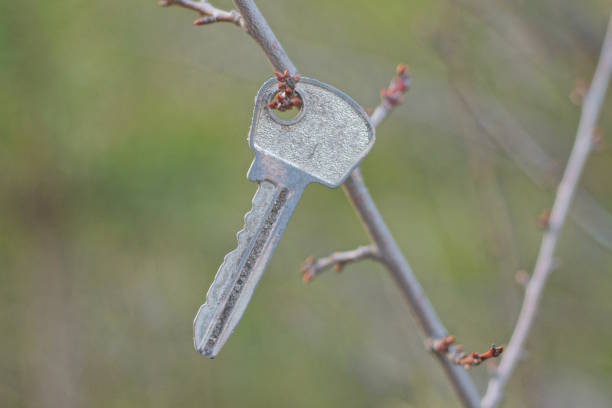 one old gray small metal door key hanging on a thin tree branch on the street