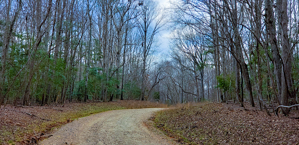A wide angle photo of a winding hiking trail at Forest Ridge Park in North Carolina in Winter