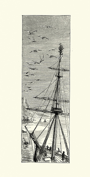 Vintage illustration Gulls flying over the mast of a sailing ship, sailor up the rigging 1880s, 19th Century