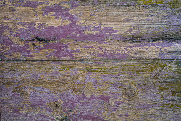 Close up view old wood panel with peeling purple paint wallpaper and background texture