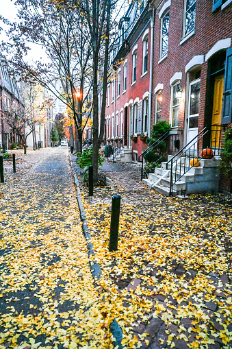 Residential streets of center city Philadelphia. Autumn.