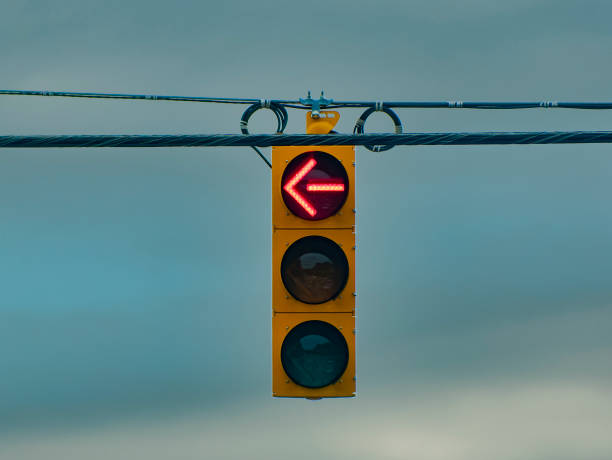 A traffic light illuminates  against the soft, moody sky.