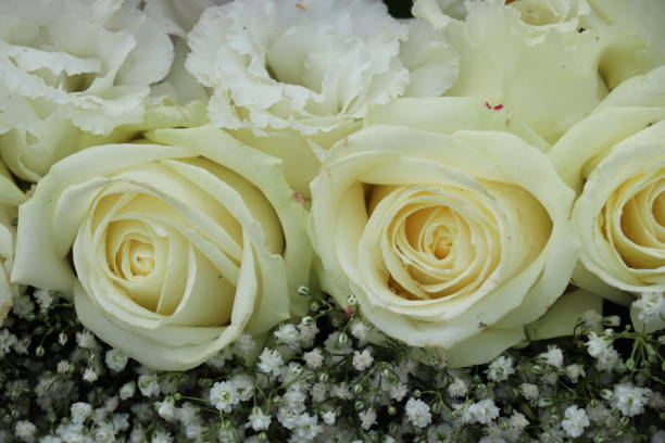 istock Group of white roses, wedding decorations 2149584978