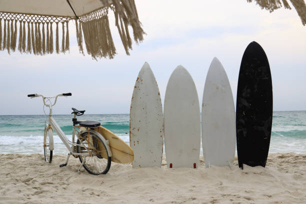 bicycle serf board and umbrella on a tropical beach, happy summer vacation concept