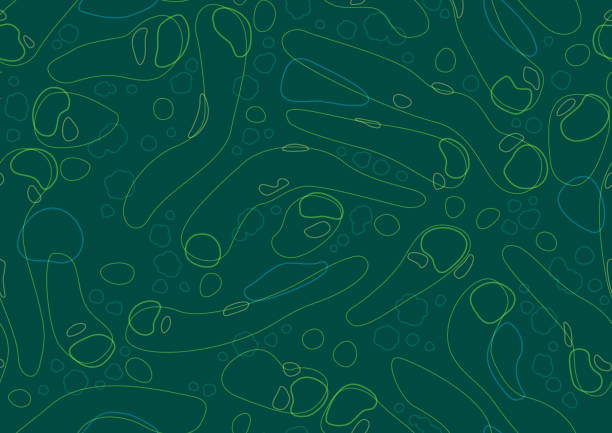 Seamless abstract golf course map pattern Seamless golf course map simple abstract lines pattern vector illustration wallpaper background golf stock illustrations