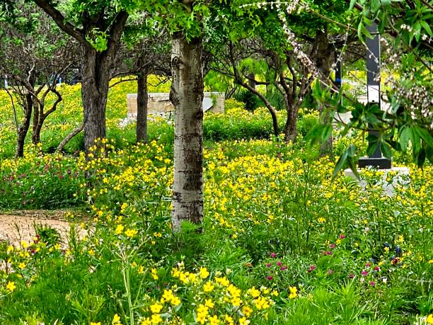 Wild flowers in Spring, Worcester, Pennsylvania, USA