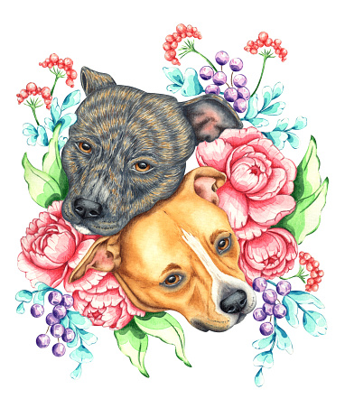 Watercolor illustration of two dogs, Staffordshire Terrier, in flowers and berries, pink peonies, blue berries, green leaves. Isolated from the background. Composition for cards, posters, clothing, blogs, children's room, books, pillows, prints.