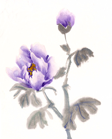 peony, Chinese traditional brush painting on rice paper, pink, purple. High quality illustration