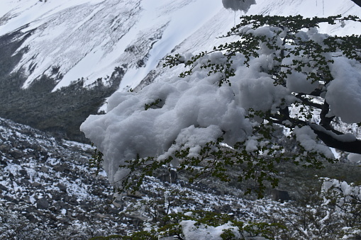 National Park Torres del Paine in Puerto Natales