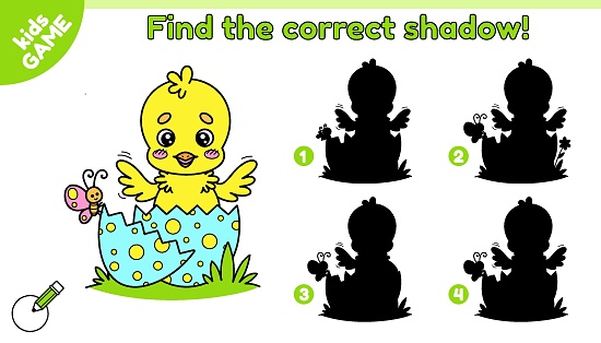 Educational kids Easter game. Find the correct shadow. Ð¡artoon chick hatched from egg. Cute chick in cracked egg. Activity book for school children. Vector baby illustration on spring holiday theme.