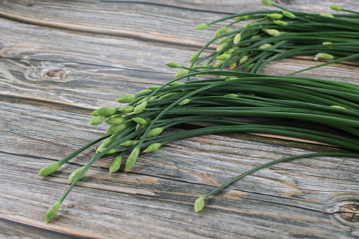 Garlic chives or Allium tuberosum on wooden table background. Fresh healthy organic green vegetable.