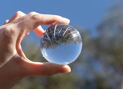 Hand holding transparent glass ball, sphere. Nature, trees, sky.