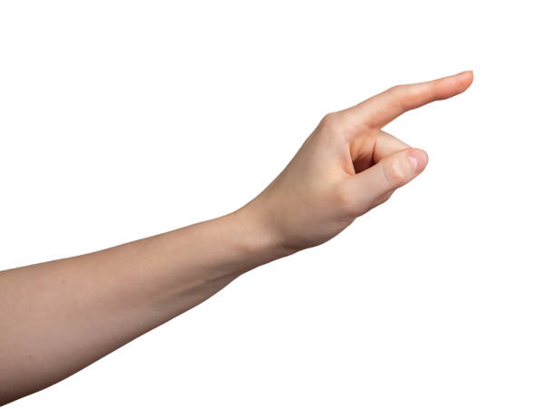 istock Left hand clicking, index finger touching, gesturing, pointing side, isolated on white background 2149600230
