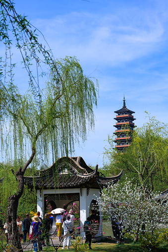 The slender West Lake Scenic Area in Yangzhou, Jiangsu Province, China, takes a spring outing. March 30, 2024.
