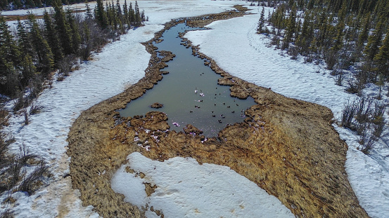 A drone flight over a wilderness area of Interior Alaska shows that winter’s grip has begun to loosen. Spring thaw has begun to melt the winter ice.