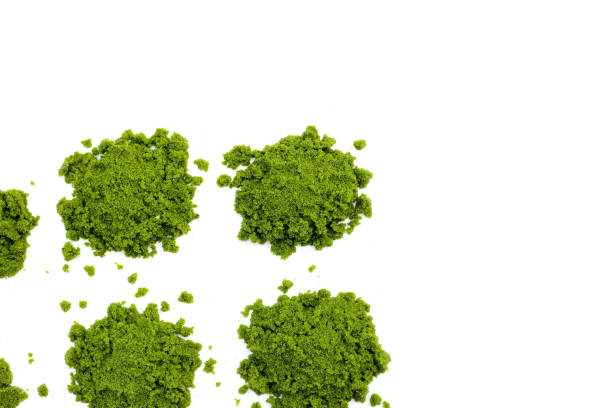 istock Wolffia globosa or swamp algae, water meal 2149606630
