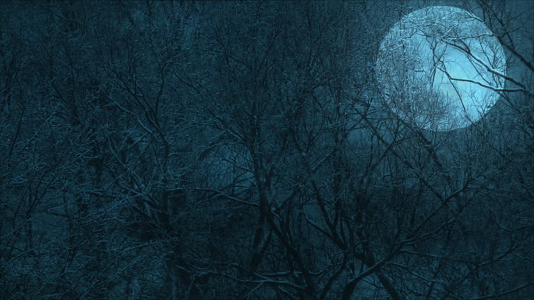 Huge moon shining through the trees