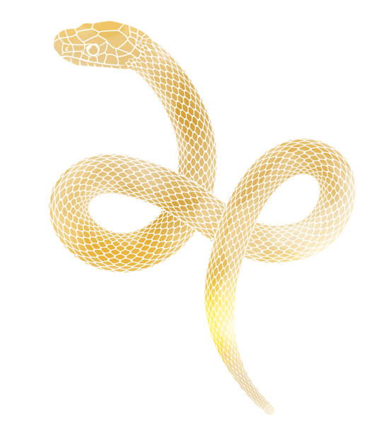 istock Year of the Snake New Year's card material_Golden snake illustration 2149609382