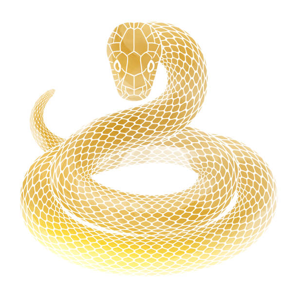 istock Year of the Snake New Year's card material_Golden snake illustration coiling 2149609395