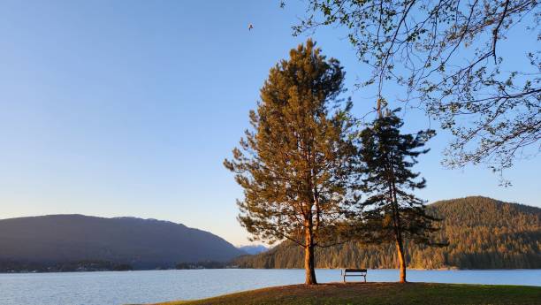 istock Park bench in between two pine trees with ocean inlet and mountain view at the background 2149609435