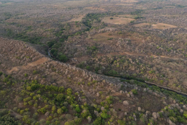 istock Building new road in jungle 2149609574