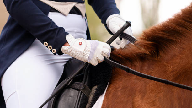 istock Equestrian in formal attire riding a chestnut horse. 2149611177