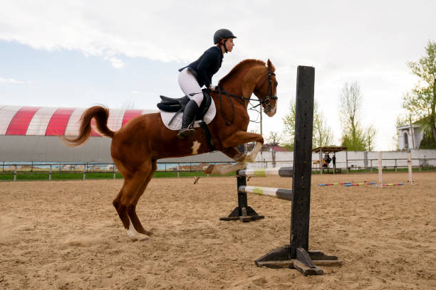 istock Equestrian and horse mid-jump, show jumping action. 2149611183