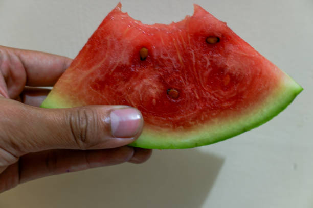Red watermelon that has been bitten, held in hand, with cream background, stock photo.