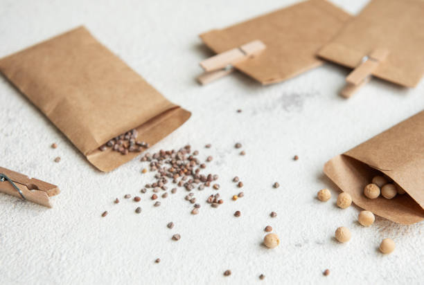istock Paper bags with seeds for planting. 2149613600