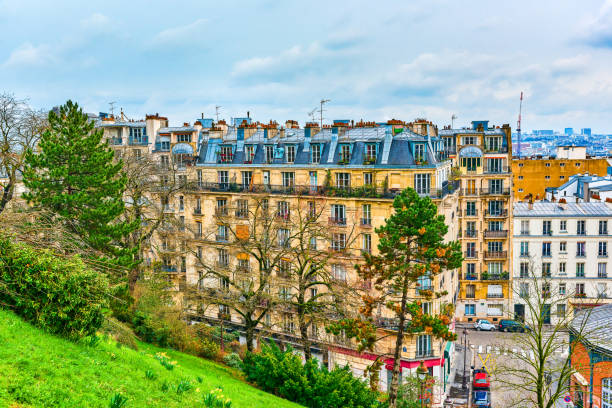 Beautiful panoramic image of Paris with the Sacre Coeur from the Arc of Triumph