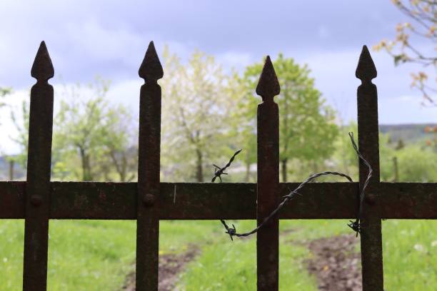istock Old metal fence with barbed wire 2149615939