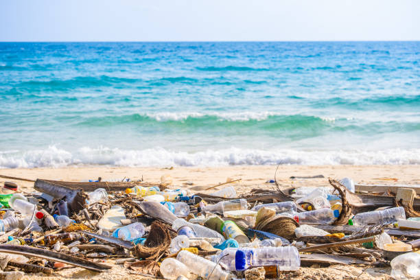 trash, plastic cups and plastic bags at the beach. environmental problem concept and healing the world